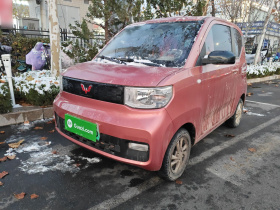 五菱汽车 宏光MINIEV 2020款 自在款 磷酸铁锂