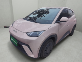 比亚迪 海鸥 2024款 荣耀版 305km 活力版