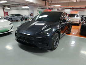 特斯拉 Model Y 2024款 后轮驱动版