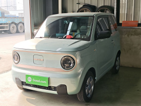 吉利银河 2023款 熊猫mini 200km 耐力熊