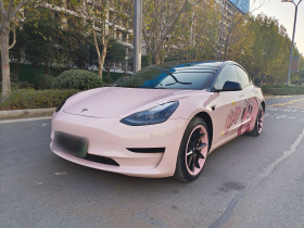 特斯拉 Model 3 2021款 标准续航后驱升级版 3D6