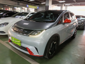 比亚迪 海豚 2021款 405km 时尚版