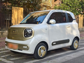 奔腾小马 2024款 170km 活力马