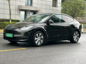 特斯拉 Model Y 2021款 标准续航后驱版