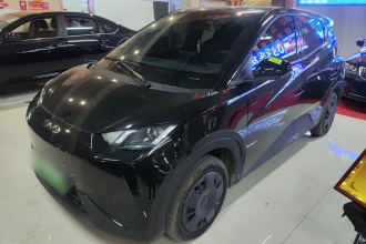 比亚迪 海鸥 2025款 智驾版 305km 活力版