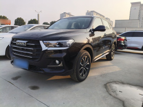 哈弗H6 2025款 1.5T 国潮都市版