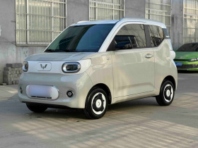 五菱汽车 宏光MINIEV 2024款 第三代 170km