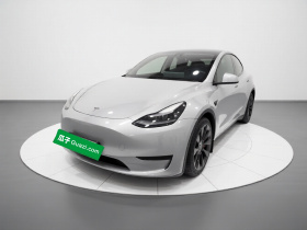 特斯拉 Model Y 2021款 标准续航后驱版