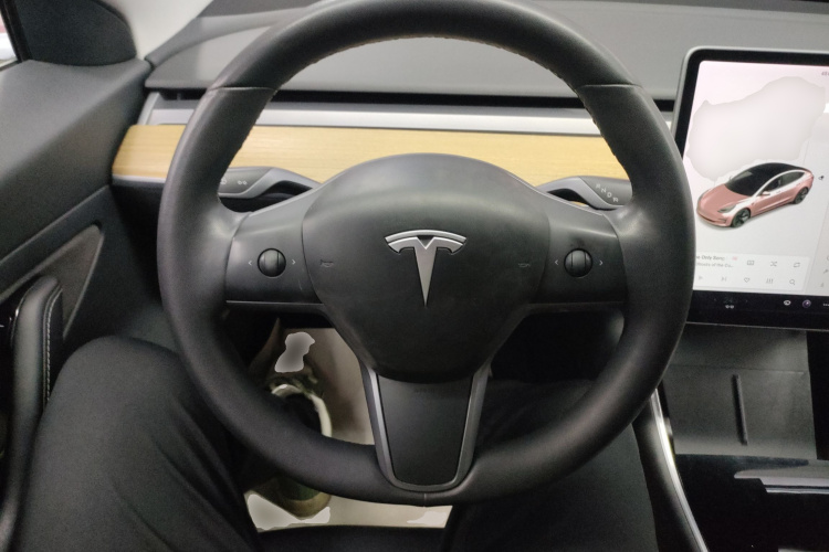 特斯拉 Model 3 2020款 改款 长续航后轮驱动版中控内饰13