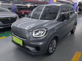 零跑汽车 零跑T03 2021款 400轻享版 磷酸铁锂