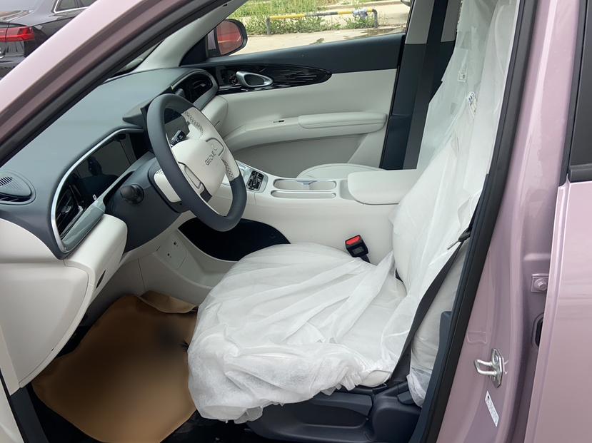 吉利汽车 星愿 2025款 310km 青春版