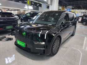 极氪009 2022款 WE版