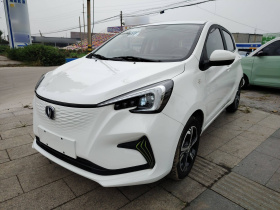 长安欧尚 奔奔E-Star 2022款 清心版 多彩款 三元锂