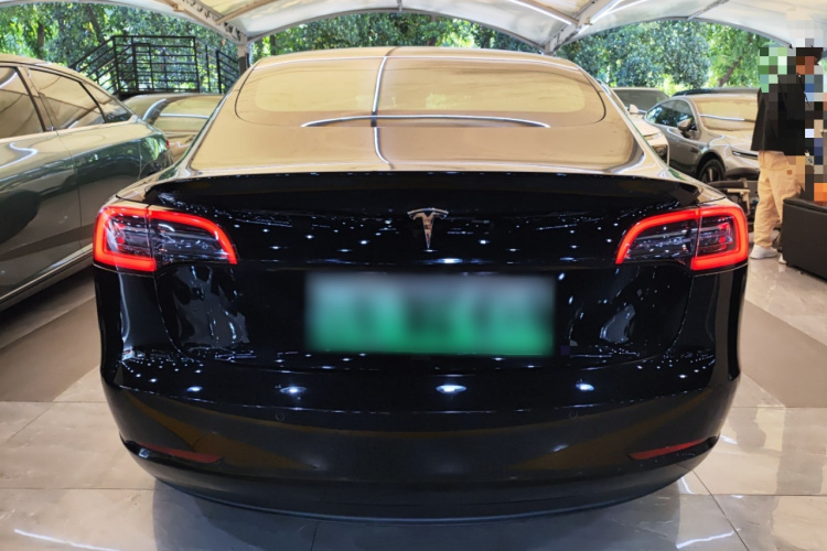 特斯拉 Model 3(进口) 2019款 长续航后驱版车身外观6004