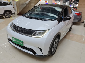 比亚迪 海豚 2021款 405km 时尚版