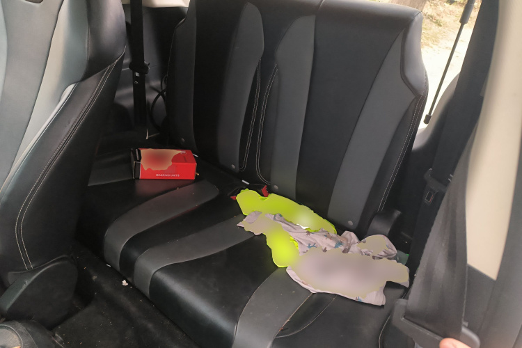 荣威 科莱威CLEVER 2022款 311km元气啵啵版中控内饰21