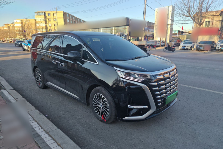 腾势D9 2024款 DM-i 1050 尊享型车身外观6006