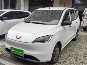 五菱汽车 五菱宏光新能源 2024款 纯电版 300KM 标准型