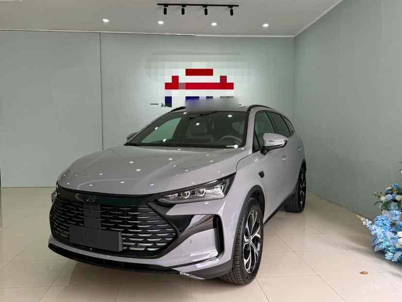 比亚迪 唐新能源 2025款 DM-i 115KM 旗舰型(1)