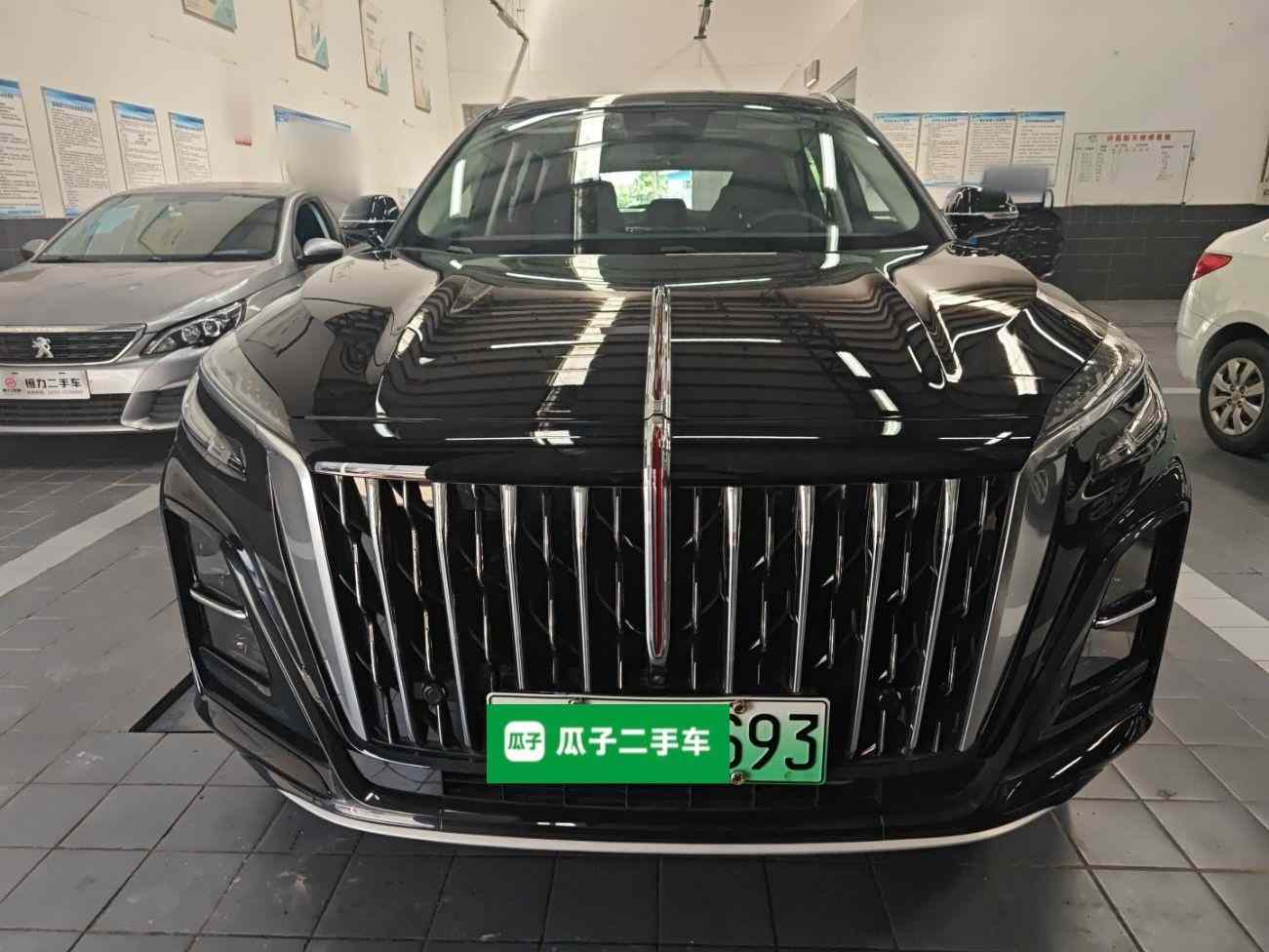 红旗HS3 PHEV 2024款 115km 劲为版(1)