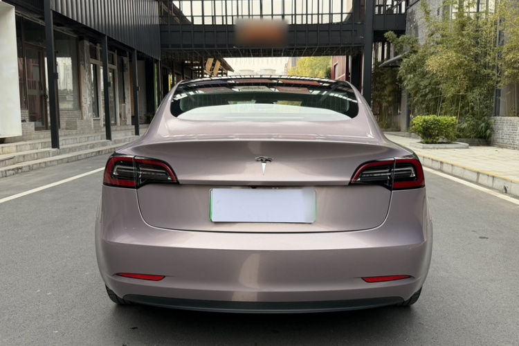 特斯拉 Model 3(进口) 2019款 长续航后驱版车身外观6006