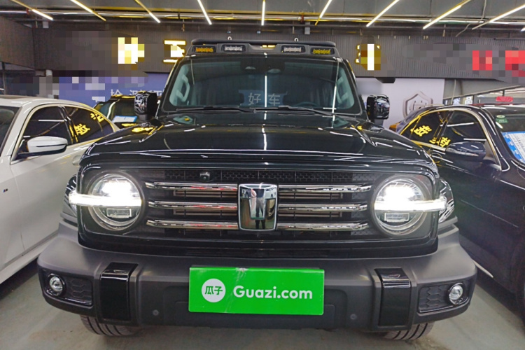 坦克300 2024款 2.0T 穿越者车身外观6001