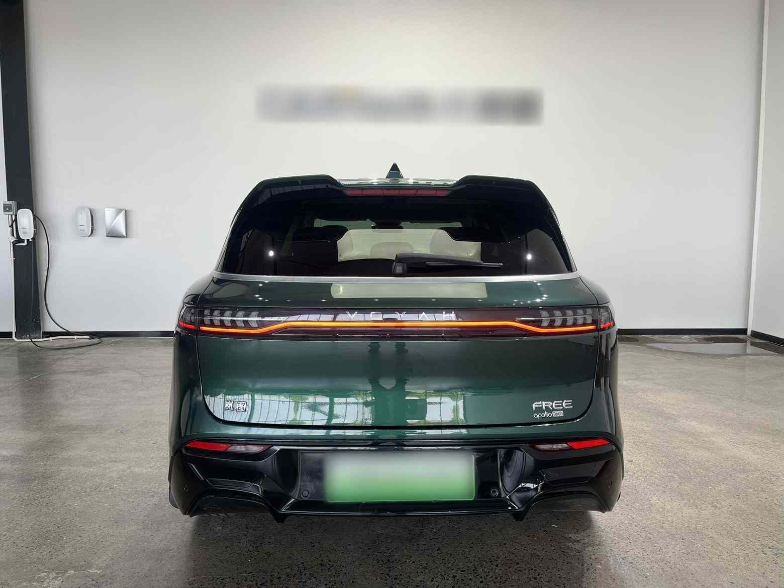岚图汽车 岚图FREE 2024款 超长续航智驾版(3)