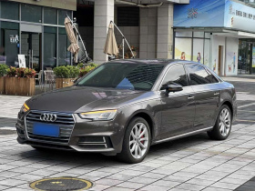 奥迪A4L 2019款 40 TFSI 进取型 国VI