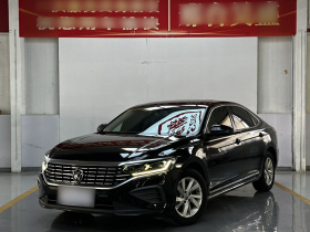 大众 帕萨特 2022款 280TSI 商务版