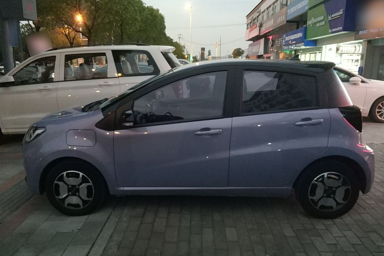 江淮钇为 钇为花仙子 2024款 挚爱版 301km Lite车身外观6003