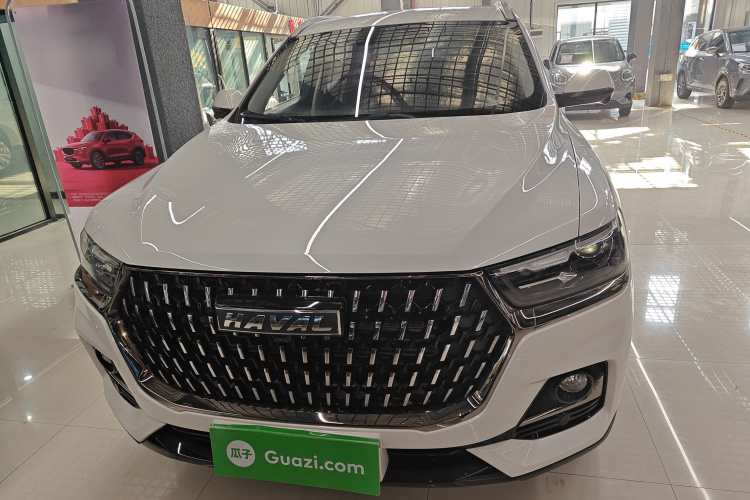 哈弗H6 2021款 国潮版 1.5GDIT 自动冠军版车身外观6001