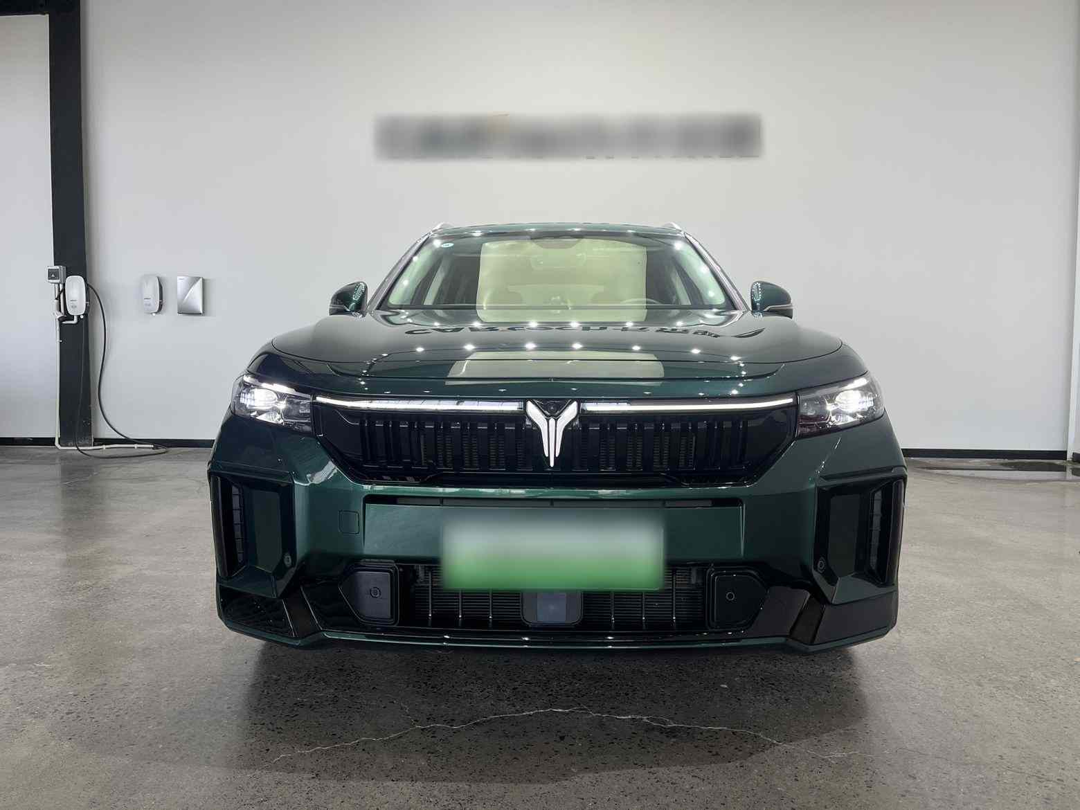 岚图汽车 岚图FREE 2024款 超长续航智驾版(2)