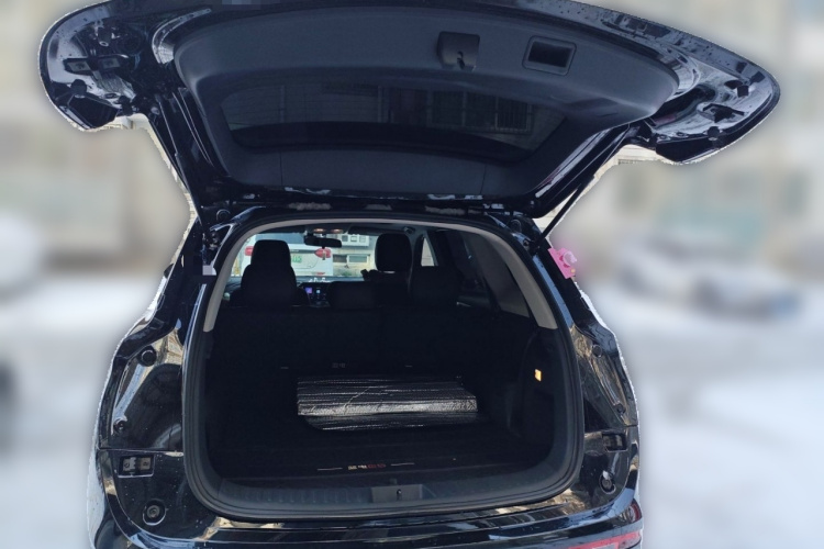 蓝电E5 2023款 1.5L DE-i 100KM畅享型 7座局部细节23