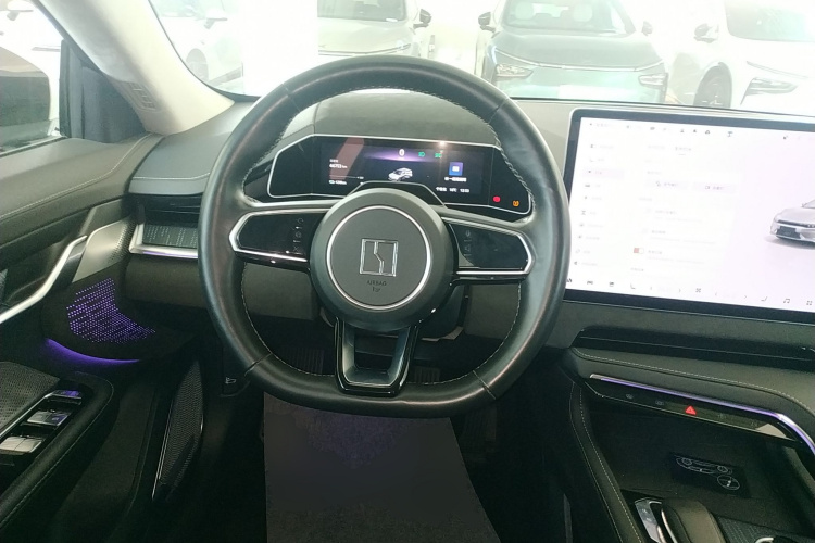 极氪001 2022款 超长续航单电机 WE版局部细节13