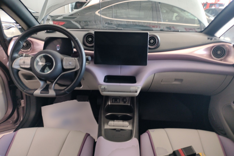 比亚迪 海豚 2021款 401km 骑士版中控内饰12