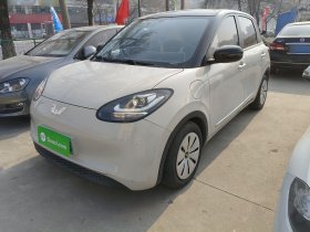 五菱汽车 五菱缤果 2023款 333km 快享款