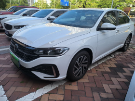 大众 朗逸 2024款 1.5L 自动星空五百万版