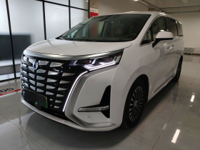 腾势D9 2022款 DM-i 970 四驱旗舰型