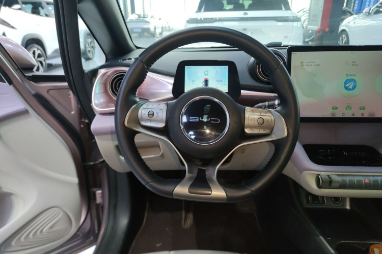 比亚迪 海豚 2021款 401km 骑士版局部细节13