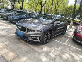 吉利汽车 星瑞 2025款 东方曜 2.0TD 望月版