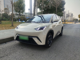 比亚迪 海鸥 2025款 305km 自由版