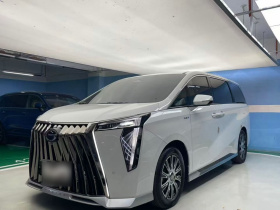 广汽传祺 传祺E9 2023款 E9 冠军版