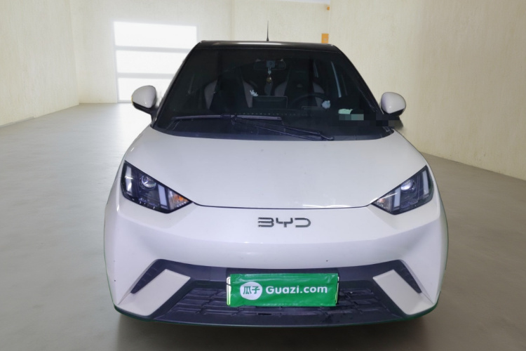 比亚迪 海鸥 2024款 荣耀版 305km 活力版车身外观2