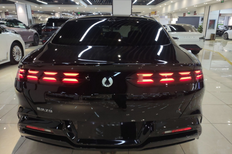 腾势Z9 2024款 1100km 四驱Max版车身外观6