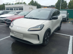 五菱汽车 五菱缤果PLUS 2024款 330km 五座版