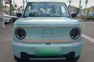 吉利银河 2023款 熊猫mini 200km 耐力熊