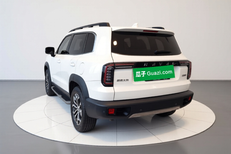 哈弗大狗 2021款 1.5T DCT两驱马犬-旺财版车身外观5