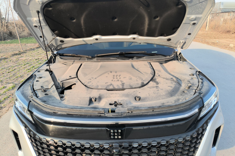 蓝电E5 2023款 1.5L DE-i 100KM臻享型 7座机舱底盘24