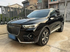 哈弗H6 2021款 1.5T 自动冠军版