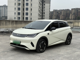 比亚迪 海豚 2025款 智驾版 420km 自由版